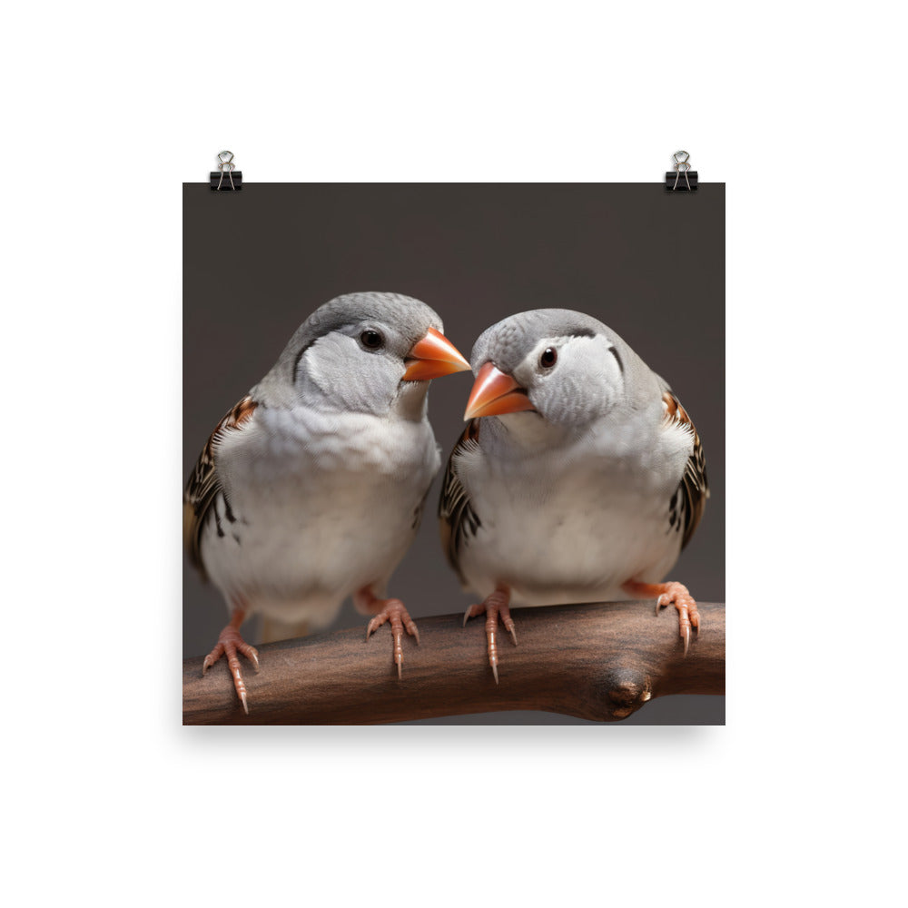 Close-up of Zebra Finches photo paper poster - Posterfy.AI