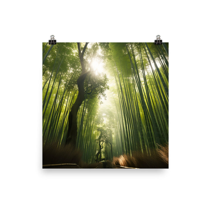 Arashiyama Bamboo Groves Serenity photo  paper poster - Posterfy.AI