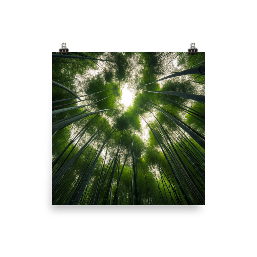 Arashiyama Bamboo Groves Serenity photo  paper poster - Posterfy.AI