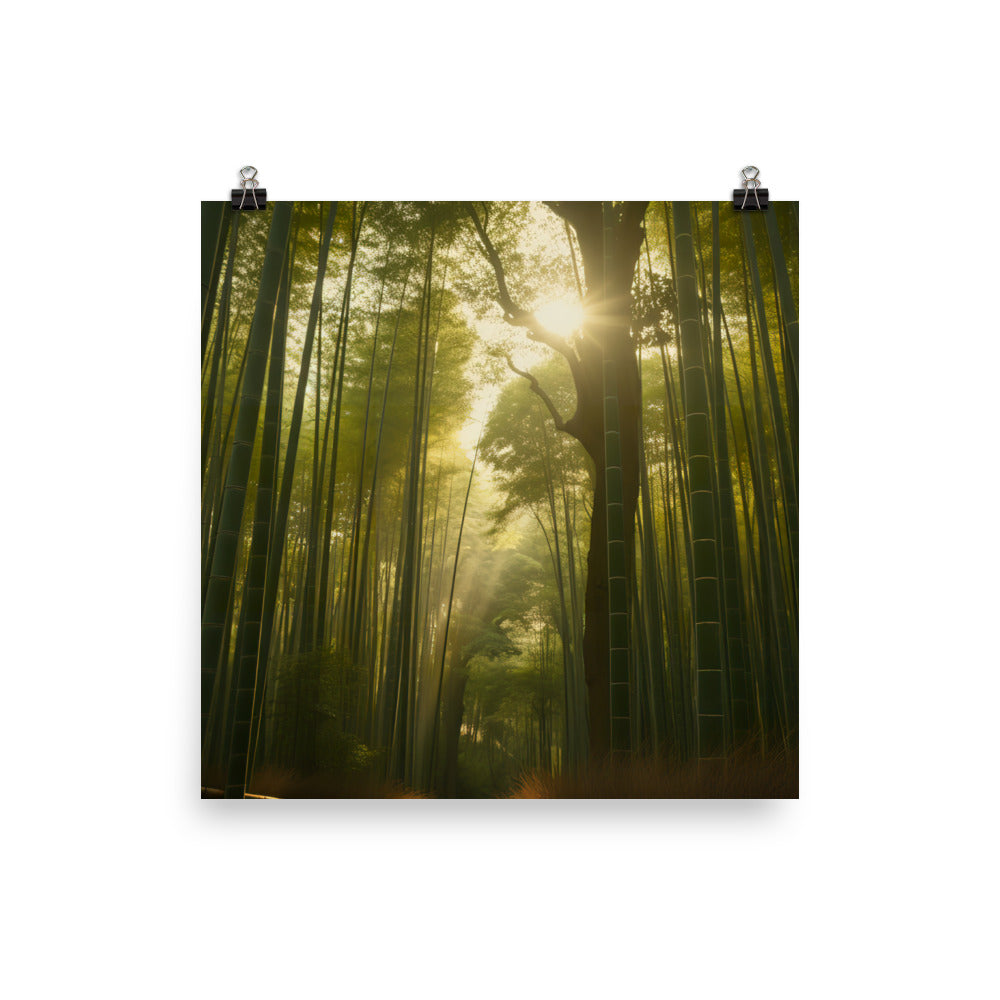 Golden Hour Enchantment in Arashiyama Bamboo Grove photo  paper poster - Posterfy.AI