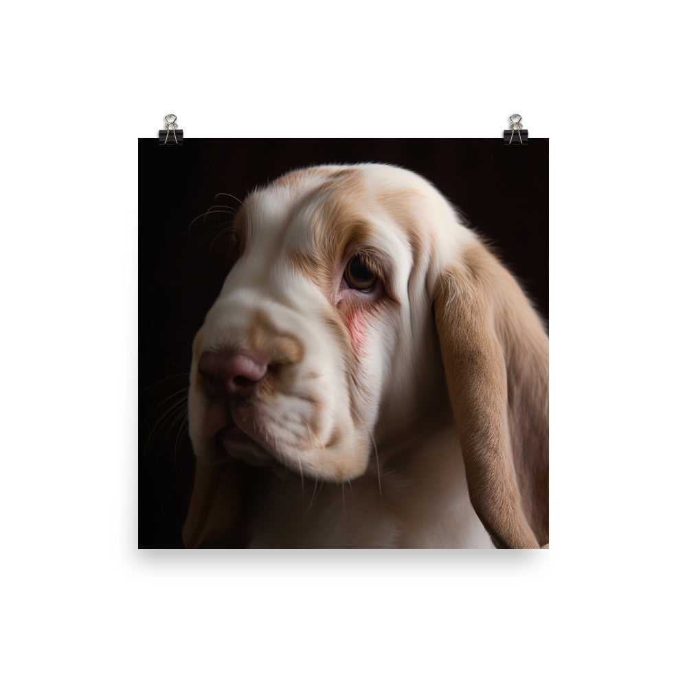 Majestic English Lop Photo paper poster - PosterfyAI.com