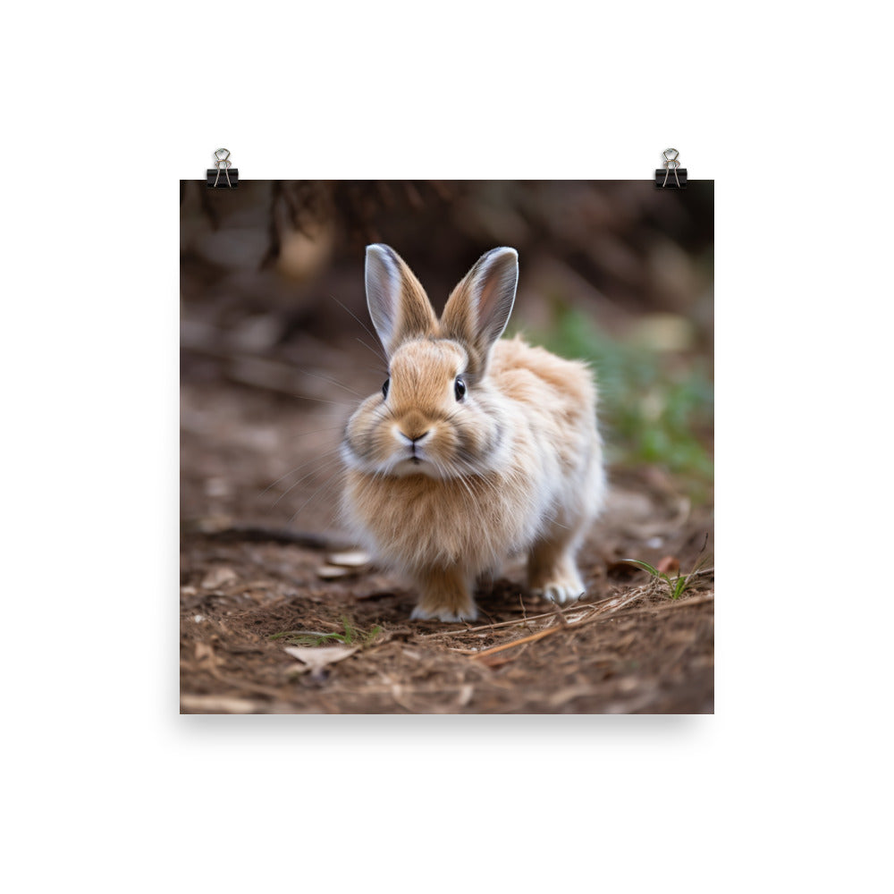 Lionhead Bunny Photo paper poster - PosterfyAI.com