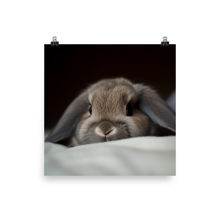 Holland Lop Photo paper poster - PosterfyAI.com
