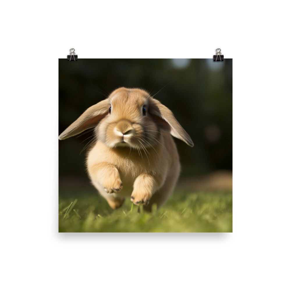Holland Lop Photo paper poster - PosterfyAI.com