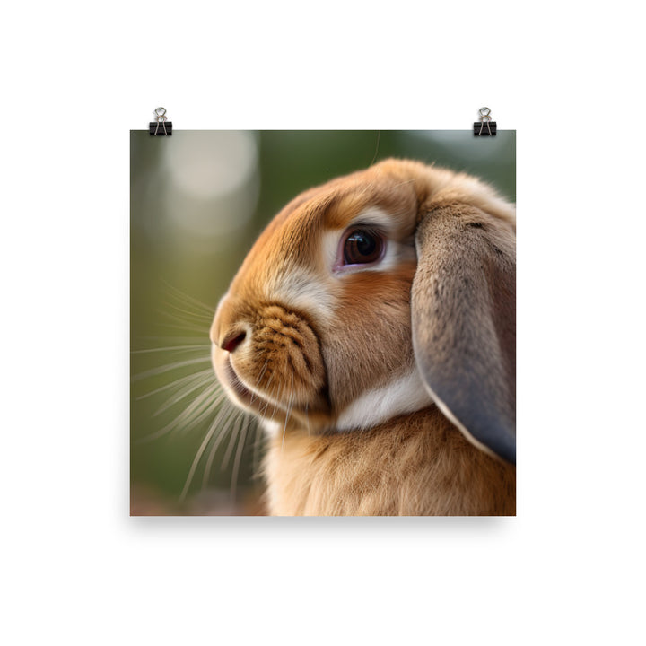French Lop Portrait Photo paper poster - PosterfyAI.com