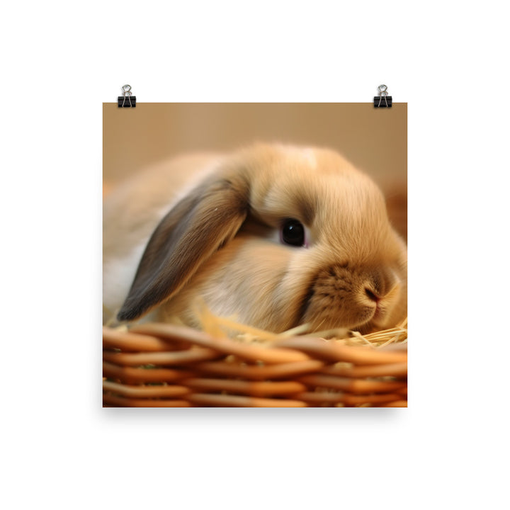American Fuzzy Lop in a Basket Photo paper poster - PosterfyAI.com