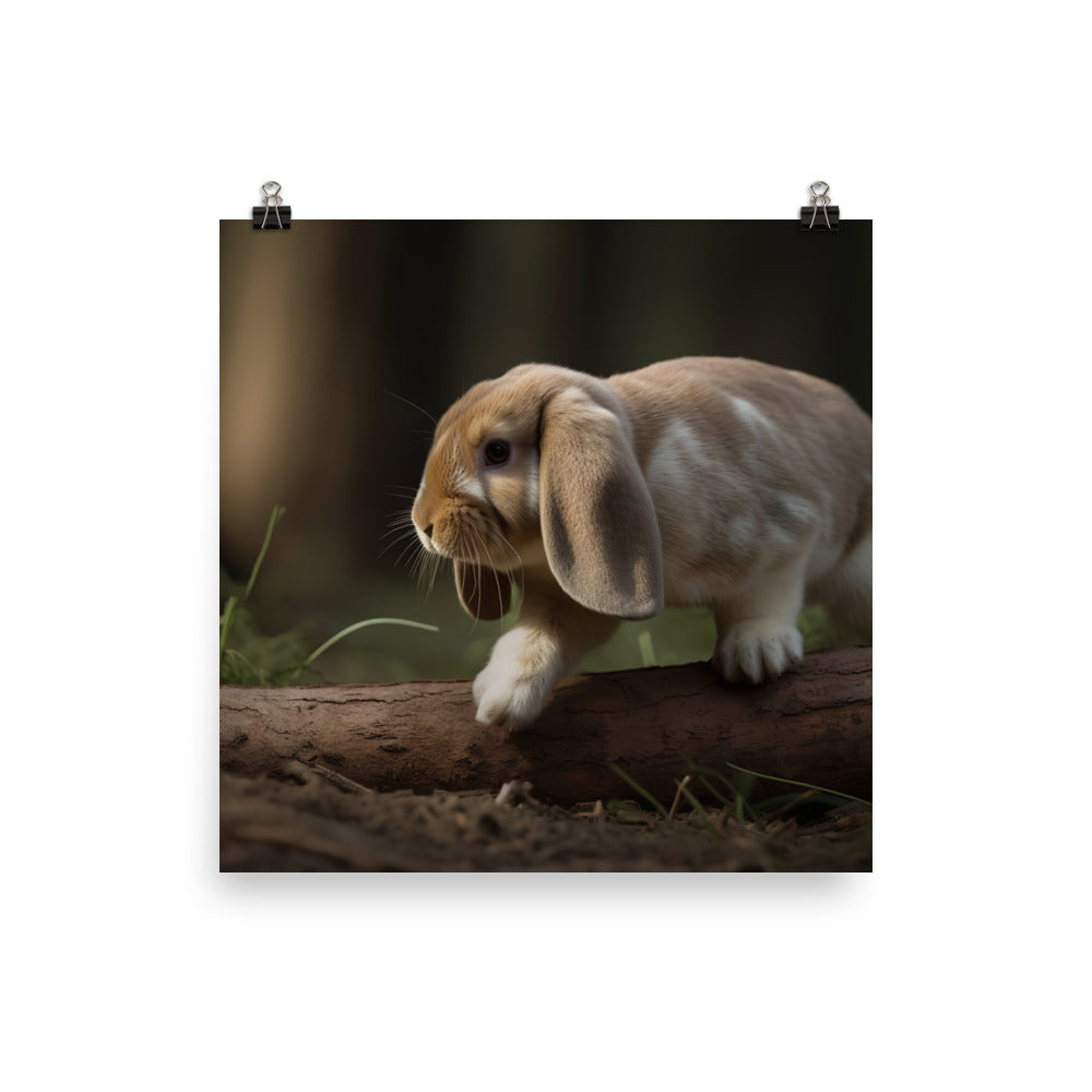 Adventurous English Lop Photo paper poster - PosterfyAI.com