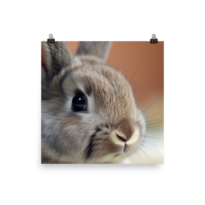 Netherland Dwarf Portrait Photo paper poster - PosterfyAI.com