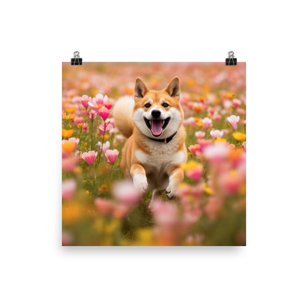 Shiba Inu Running photo paper poster - Posterfy.AI