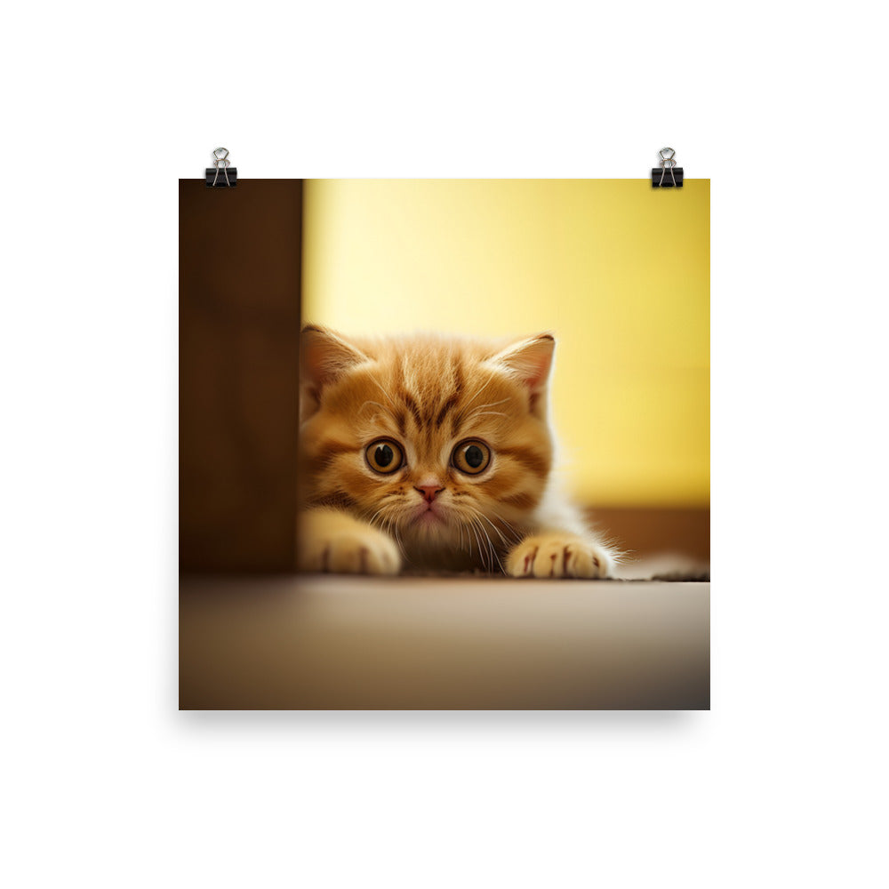 Exotic Shorthair Kitten Photo paper poster - PosterfyAI.com