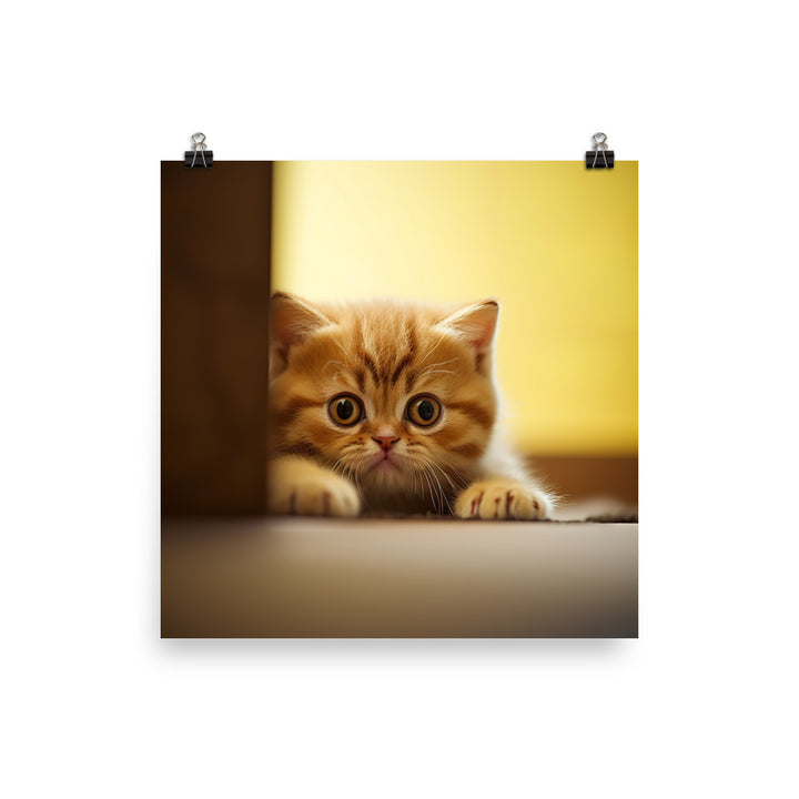 Exotic Shorthair Kitten Photo paper poster - PosterfyAI.com
