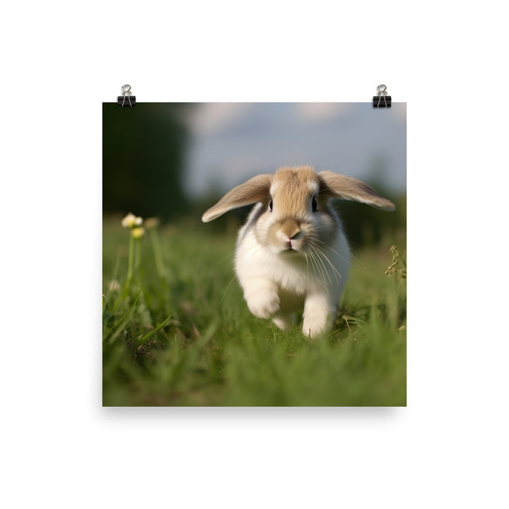 Playful Mini Lop Bunny in a Meadow Photo paper poster - PosterfyAI.com