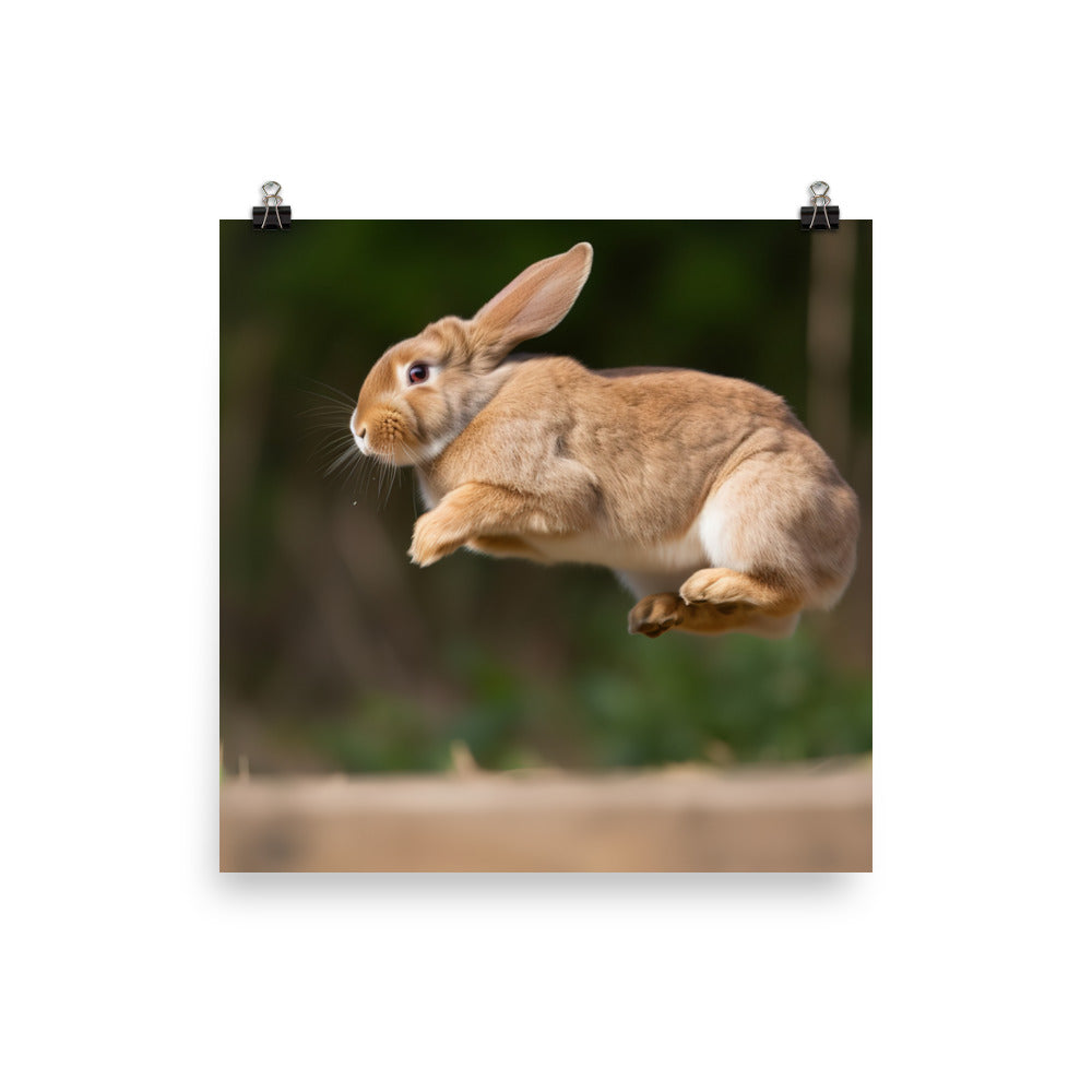 Playful French Lop Photo paper poster - PosterfyAI.com