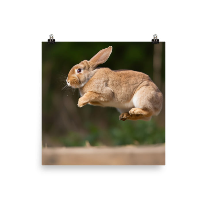 Playful French Lop Photo paper poster - PosterfyAI.com