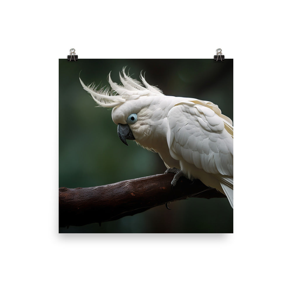 Umbrella Cockatoo Photo paper poster - PosterfyAI.com