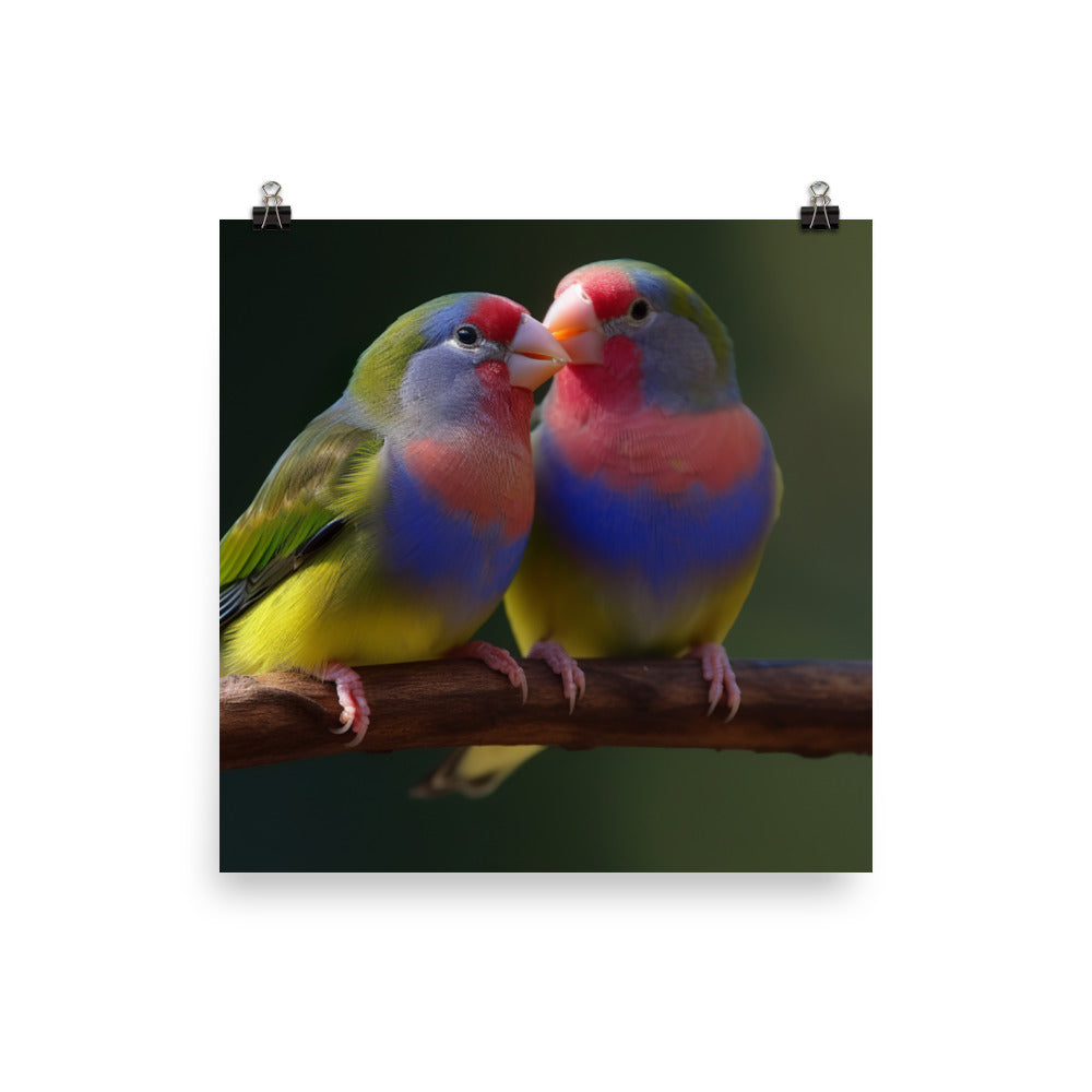 Rainbow Finches in the Wild Photo paper poster - PosterfyAI.com