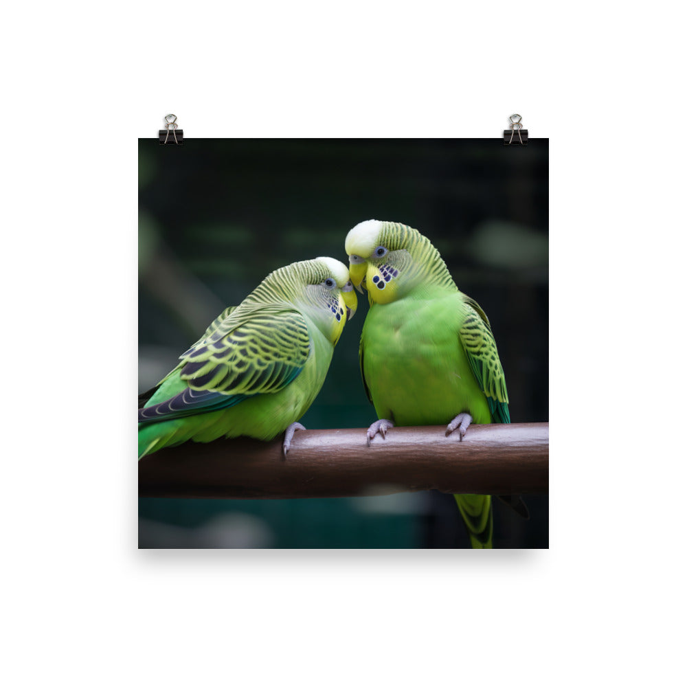 Parakeet Lovebirds Photo paper poster - PosterfyAI.com