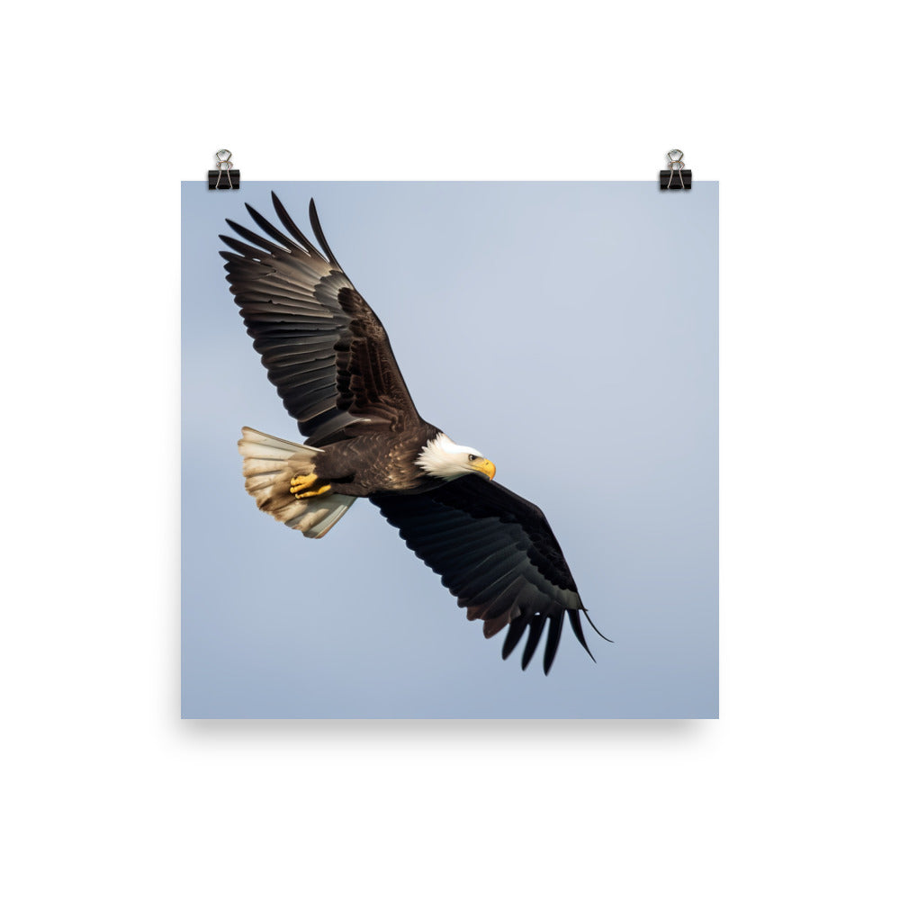 Majestic Bald Eagle Soaring in the Sky Photo paper poster - PosterfyAI.com