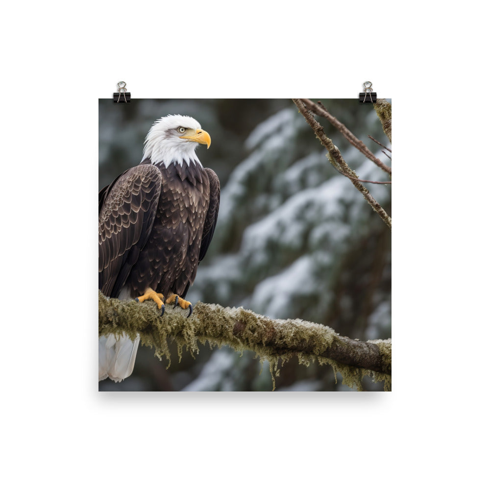 Majestic Bald Eagle Perched on a Tree Branch Photo paper poster - PosterfyAI.com