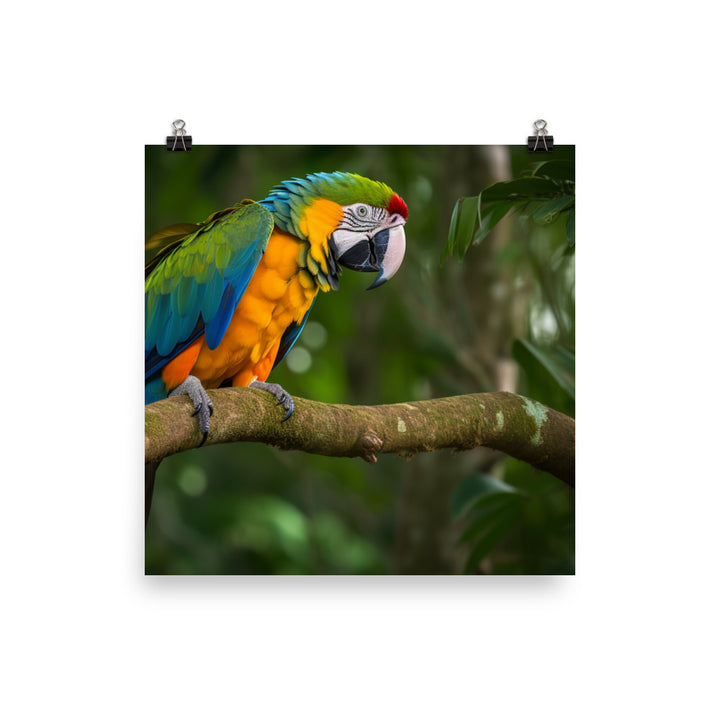 Green winged Macaw eating a nut Photo paper poster - PosterfyAI.com