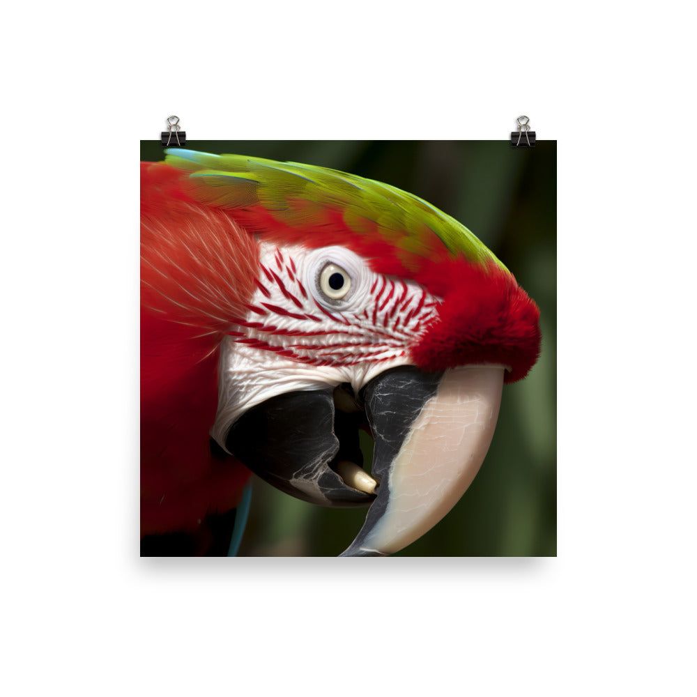 Green winged Macaw eating a nut Photo paper poster - PosterfyAI.com