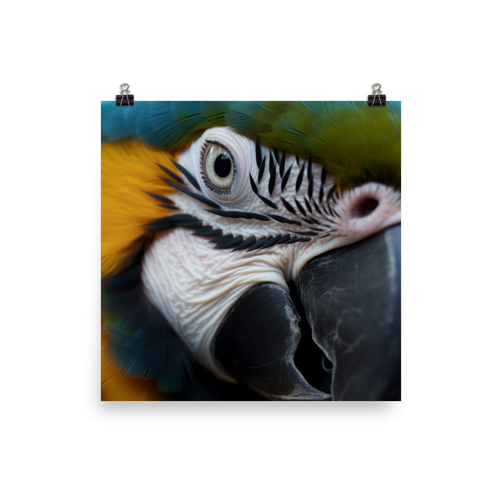 Close-up of a Blue and Gold Macaws face Photo paper poster - PosterfyAI.com
