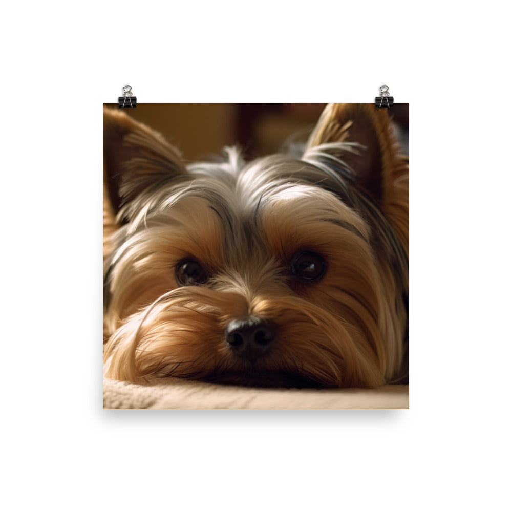 Yorkie at Home Photo paper poster - PosterfyAI.com