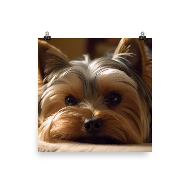 Yorkie at Home Photo paper poster - PosterfyAI.com