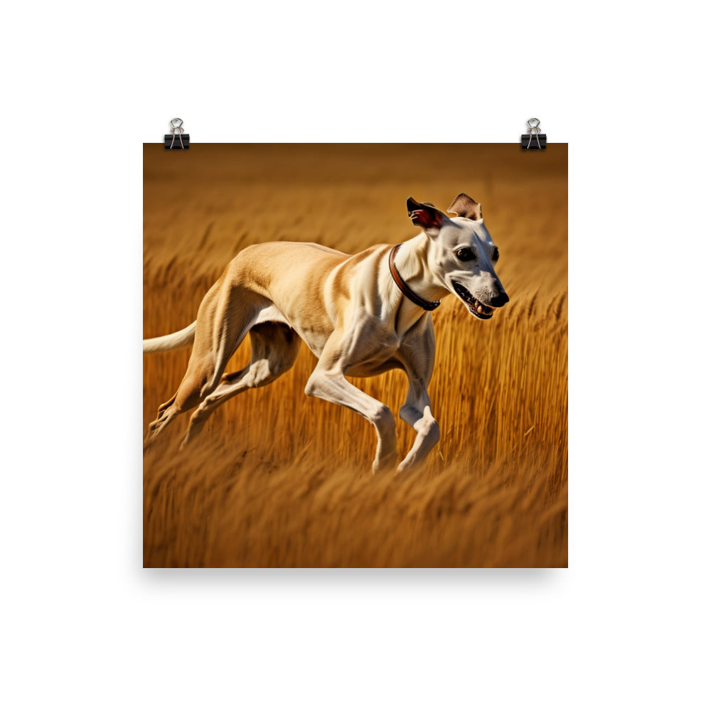 Whippet in Full Stride Photo paper poster - PosterfyAI.com