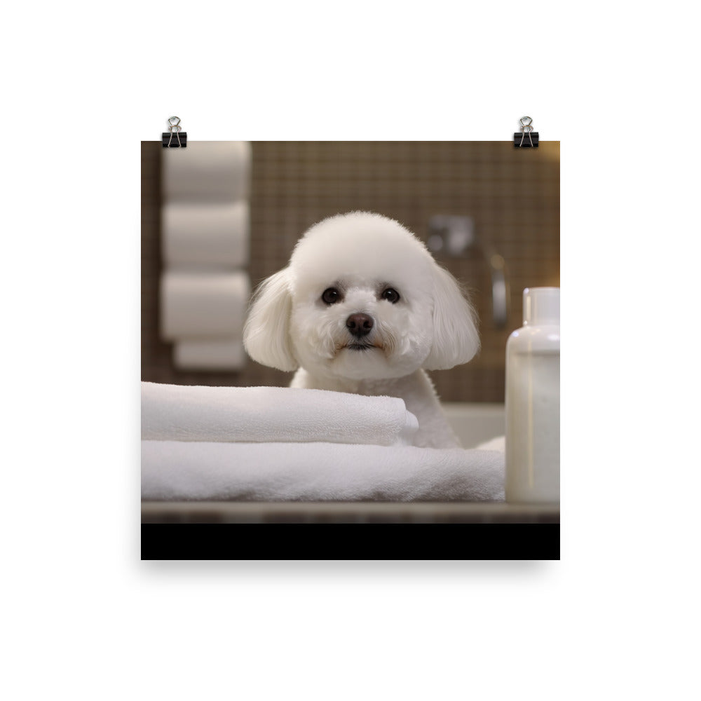 Bichon Frise in a Spa photo paper poster - Posterfy.AI