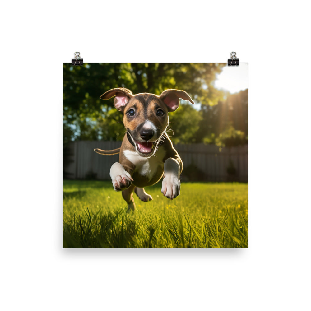 Playful Greyhound Pup photo paper poster - Posterfy.AI