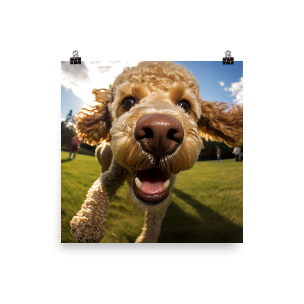 The Playful Poodle photo paper poster - Posterfy.AI