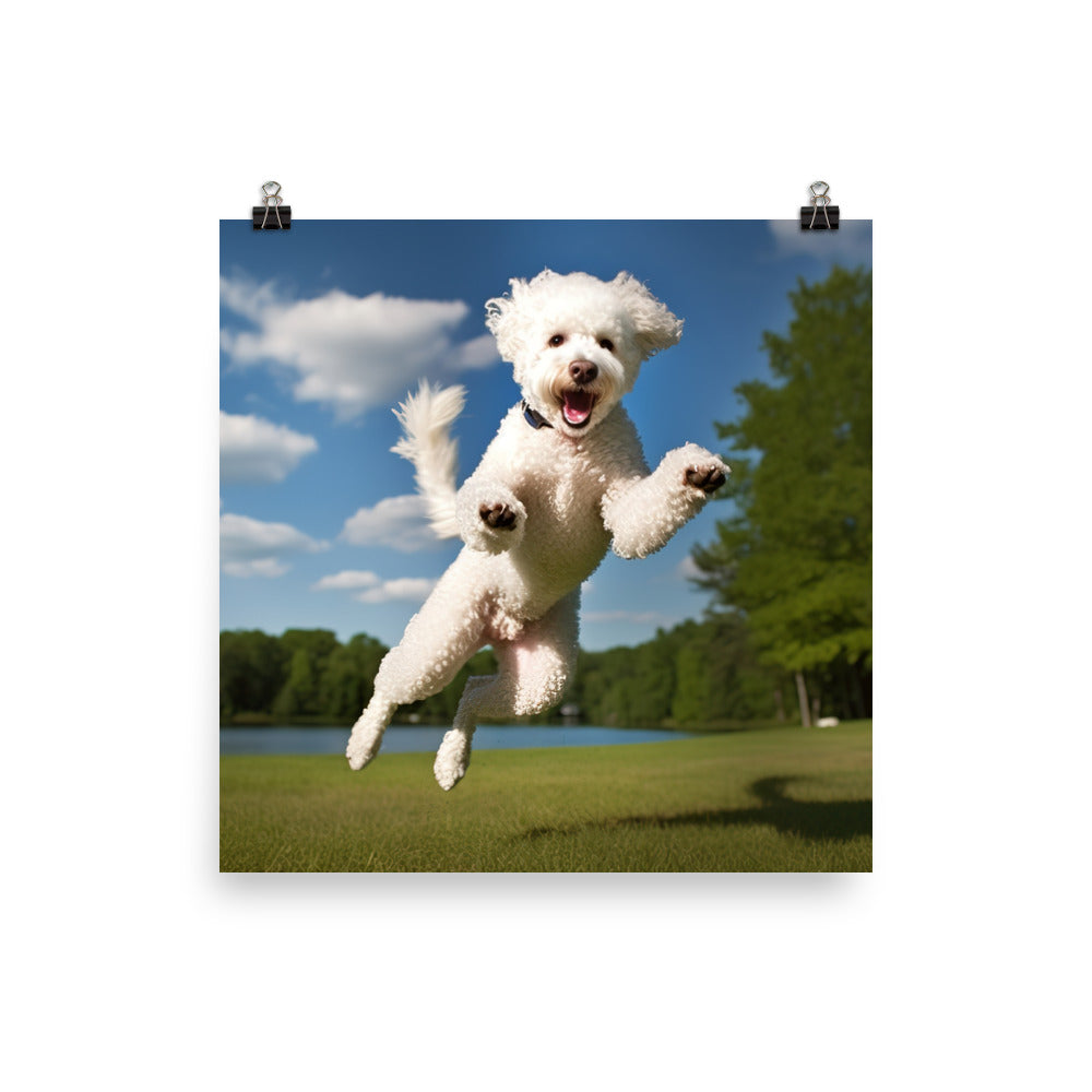The Playful Poodle in Action photo paper poster - Posterfy.AI