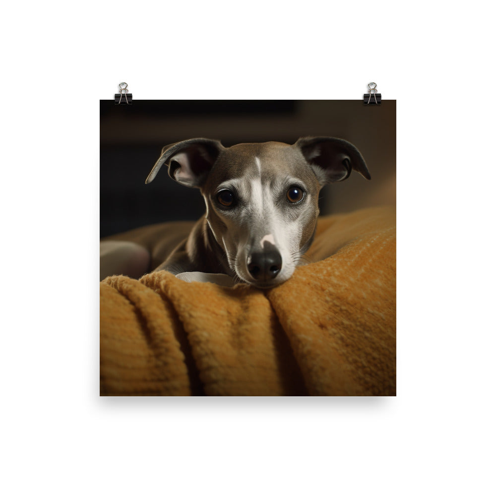 Whippet at Home Photo paper poster - PosterfyAI.com