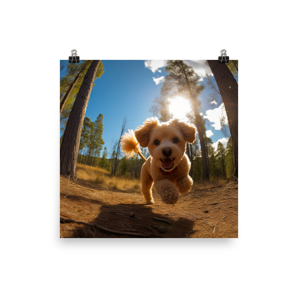 The Playful Poodle Photo paper poster - PosterfyAI.com