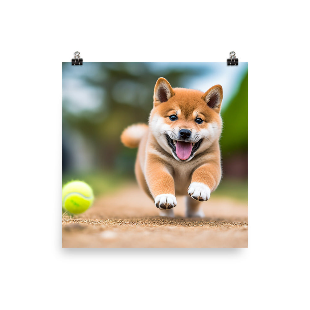Shiba Inu Pup Playing Photo paper poster - PosterfyAI.com