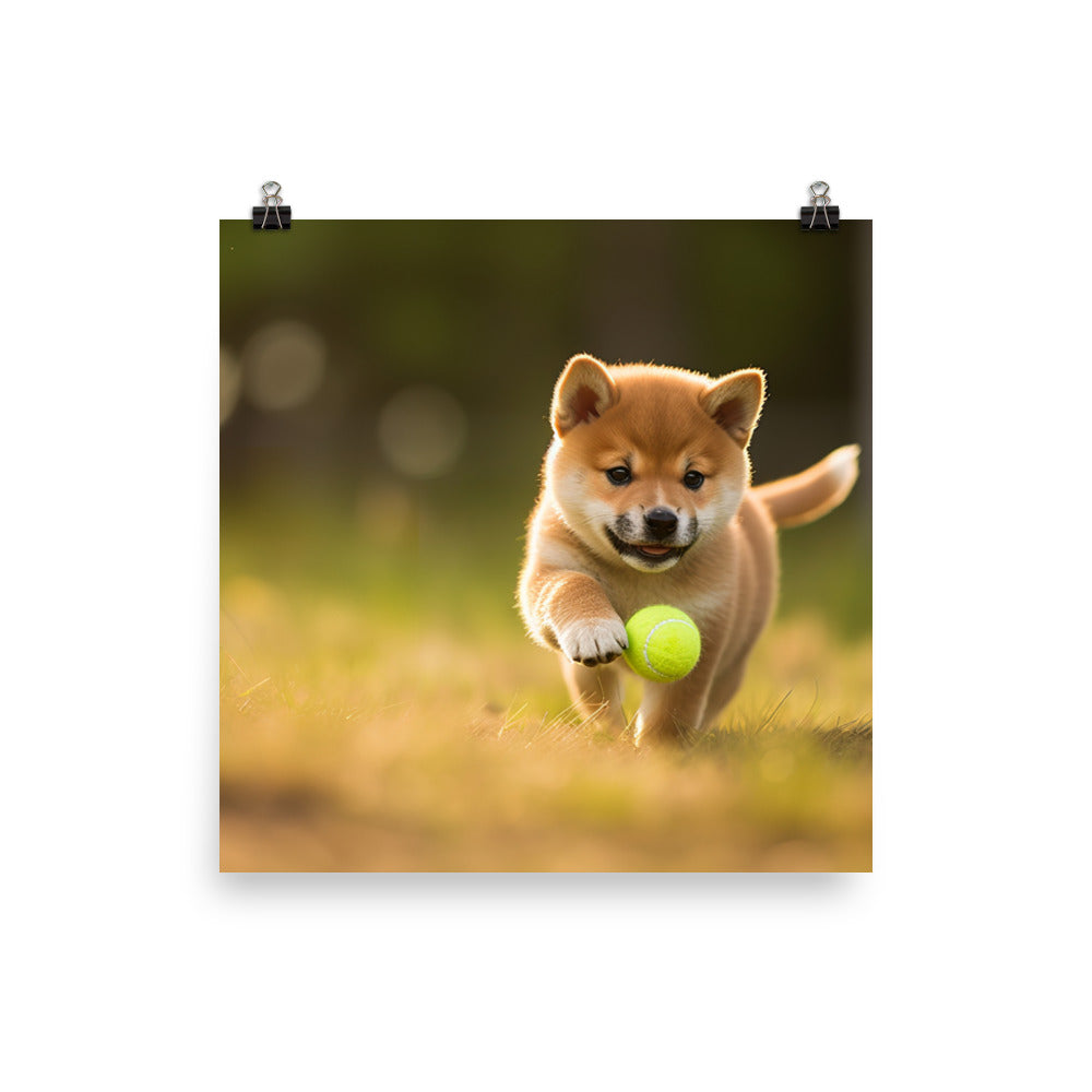 Shiba Inu Pup Playing  Photo paper poster - PosterfyAI.com