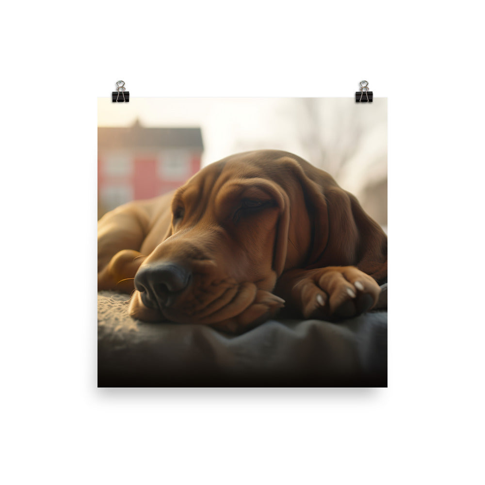 Cuddles with a Bloodhound photo paper poster - Posterfy.AI
