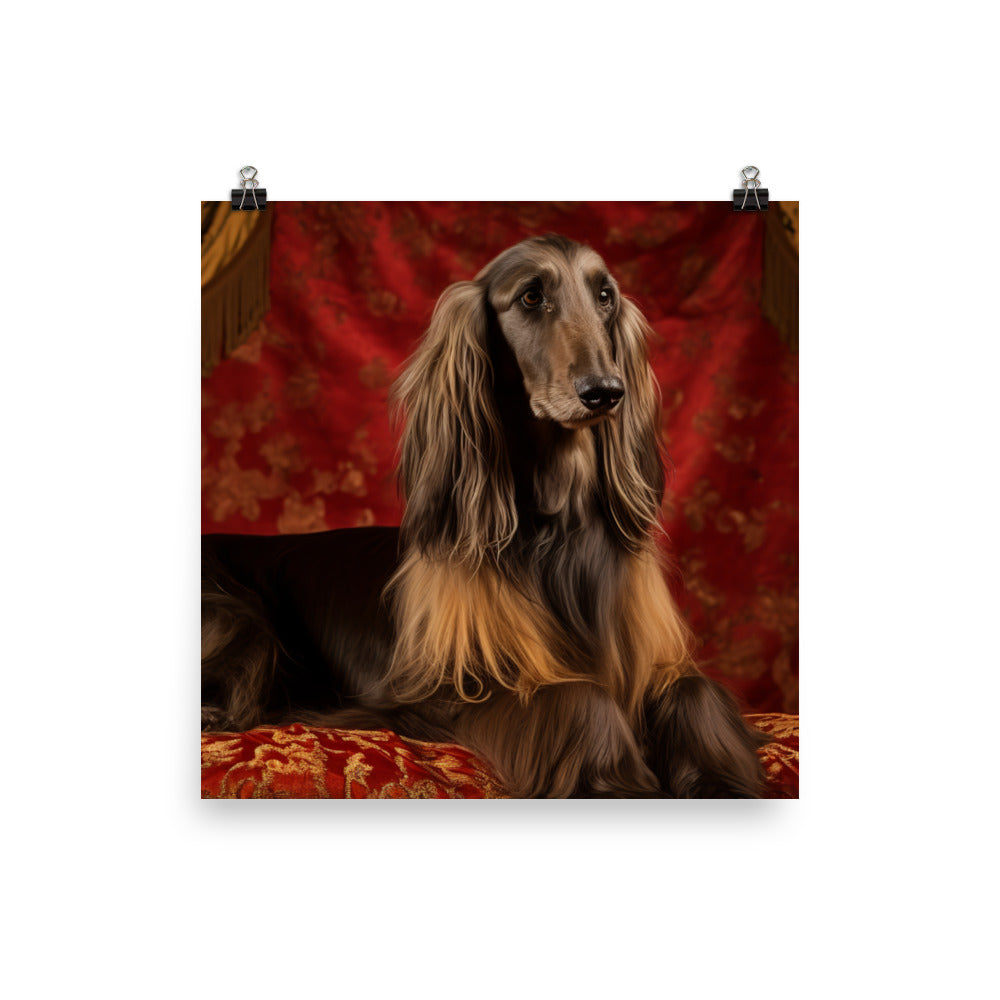 Afghan Hound in a regal pose photo paper poster - Posterfy.AI