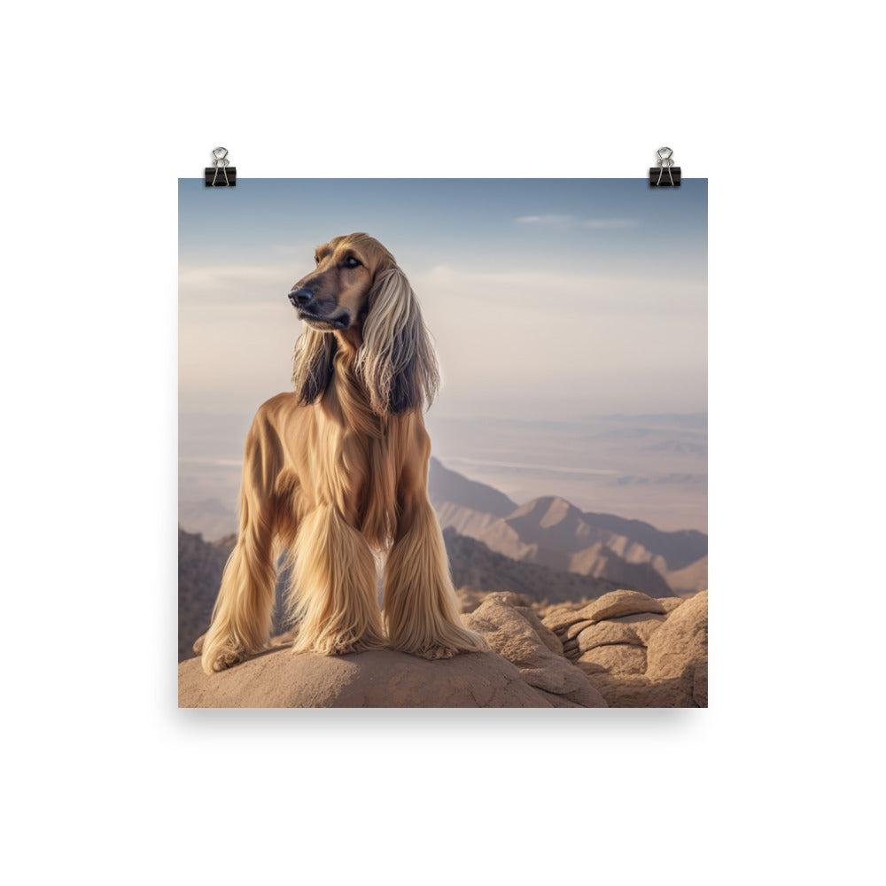 Afghan Hound in a natural environment photo paper poster - Posterfy.AI
