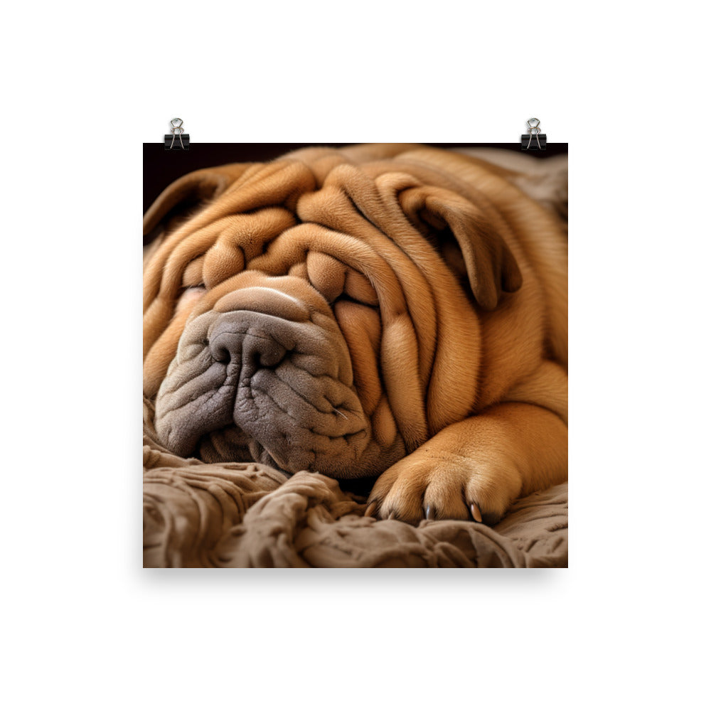 Shar Pei Dreaming Photo paper poster - PosterfyAI.com