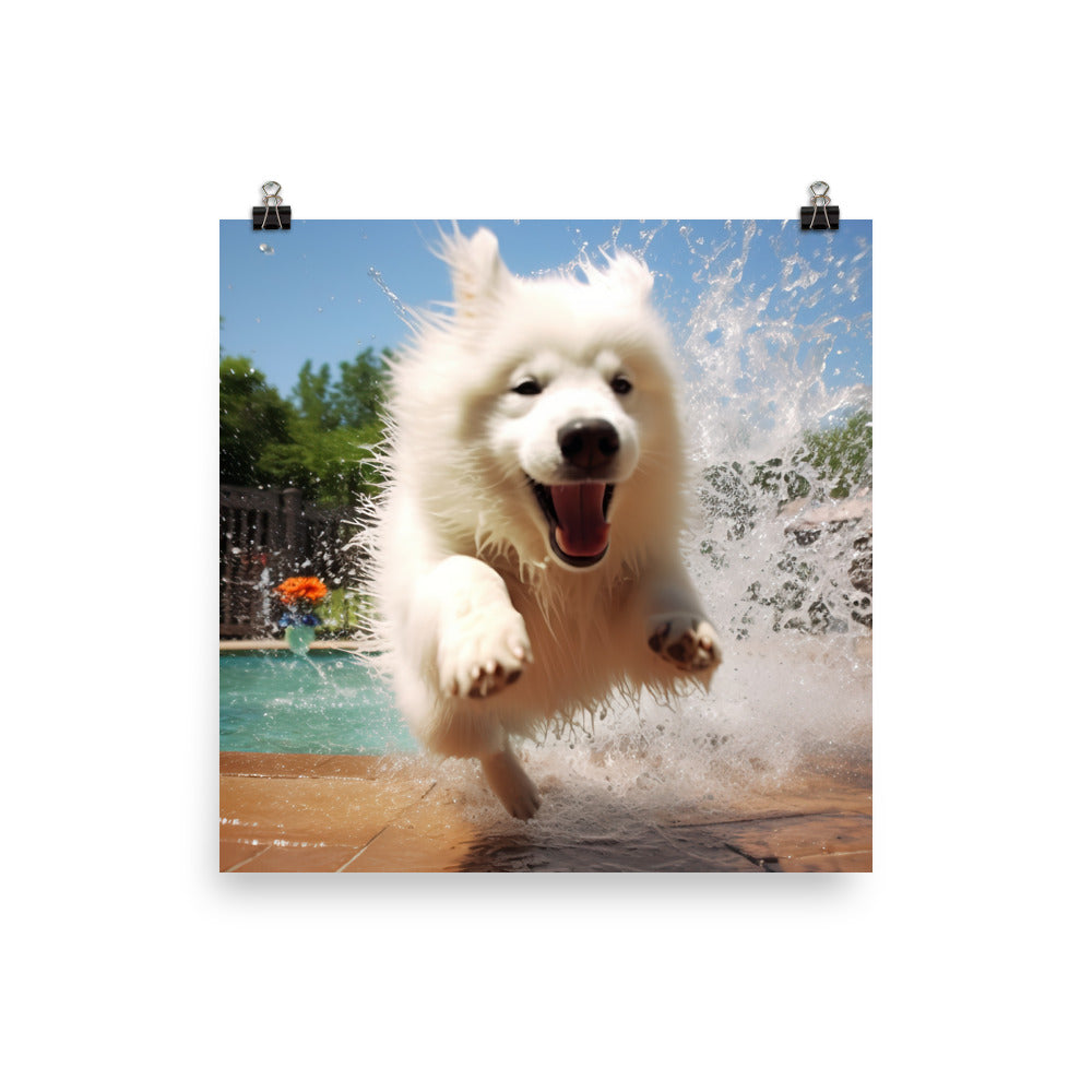 Samoyed Splash Photo paper poster - PosterfyAI.com