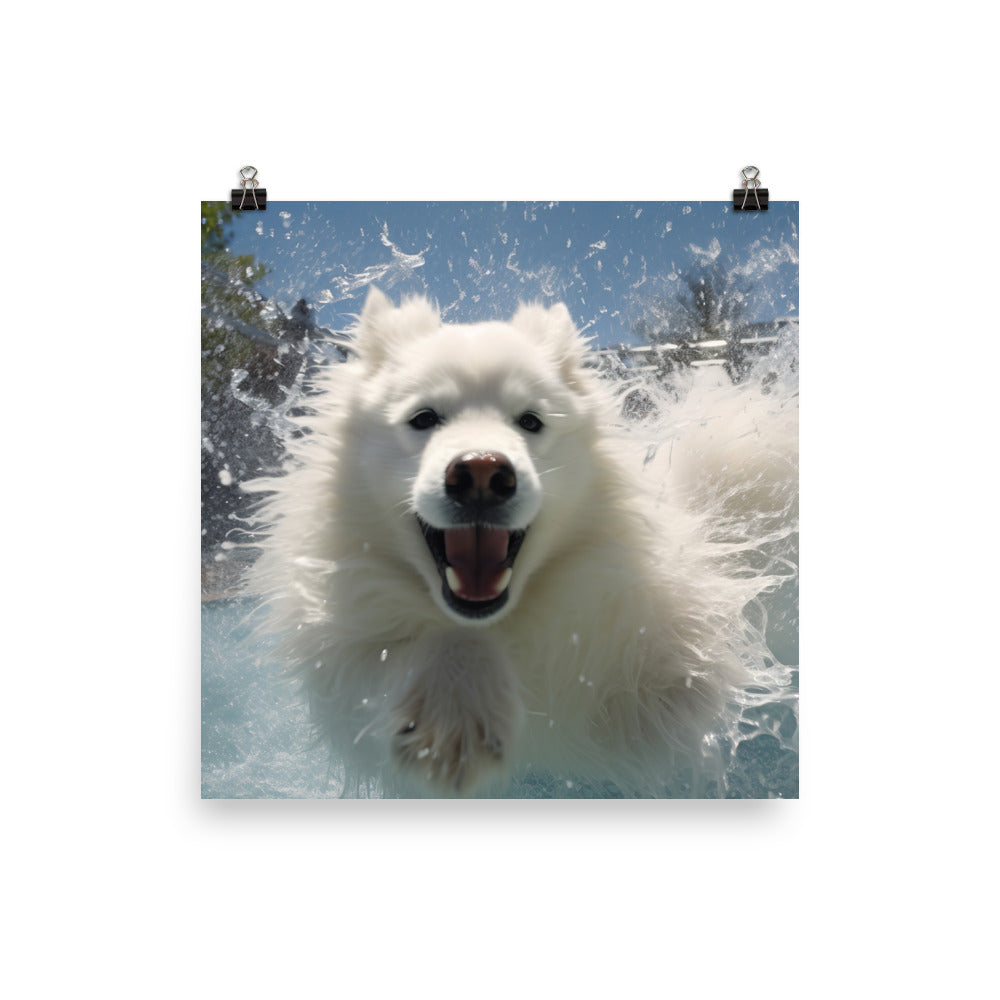 Samoyed Splash Photo paper poster - PosterfyAI.com