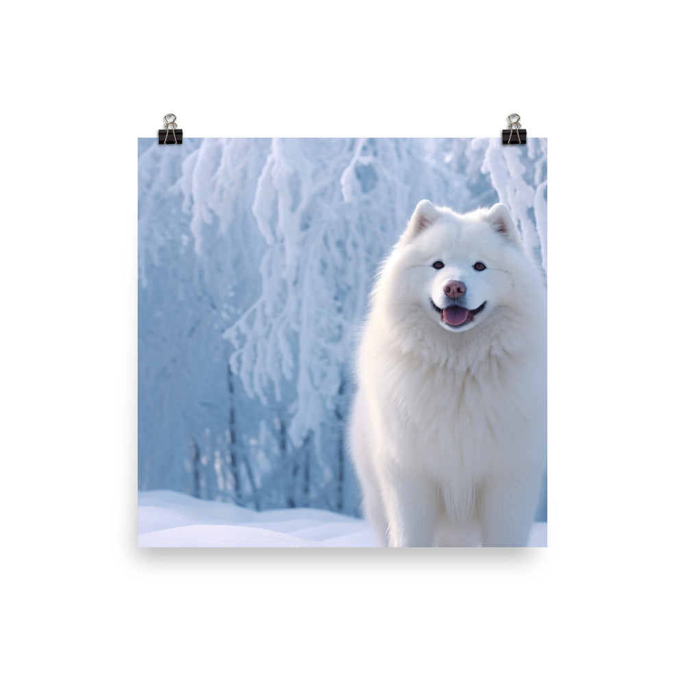 Samoyed Dog in Winter Photo paper poster - PosterfyAI.com