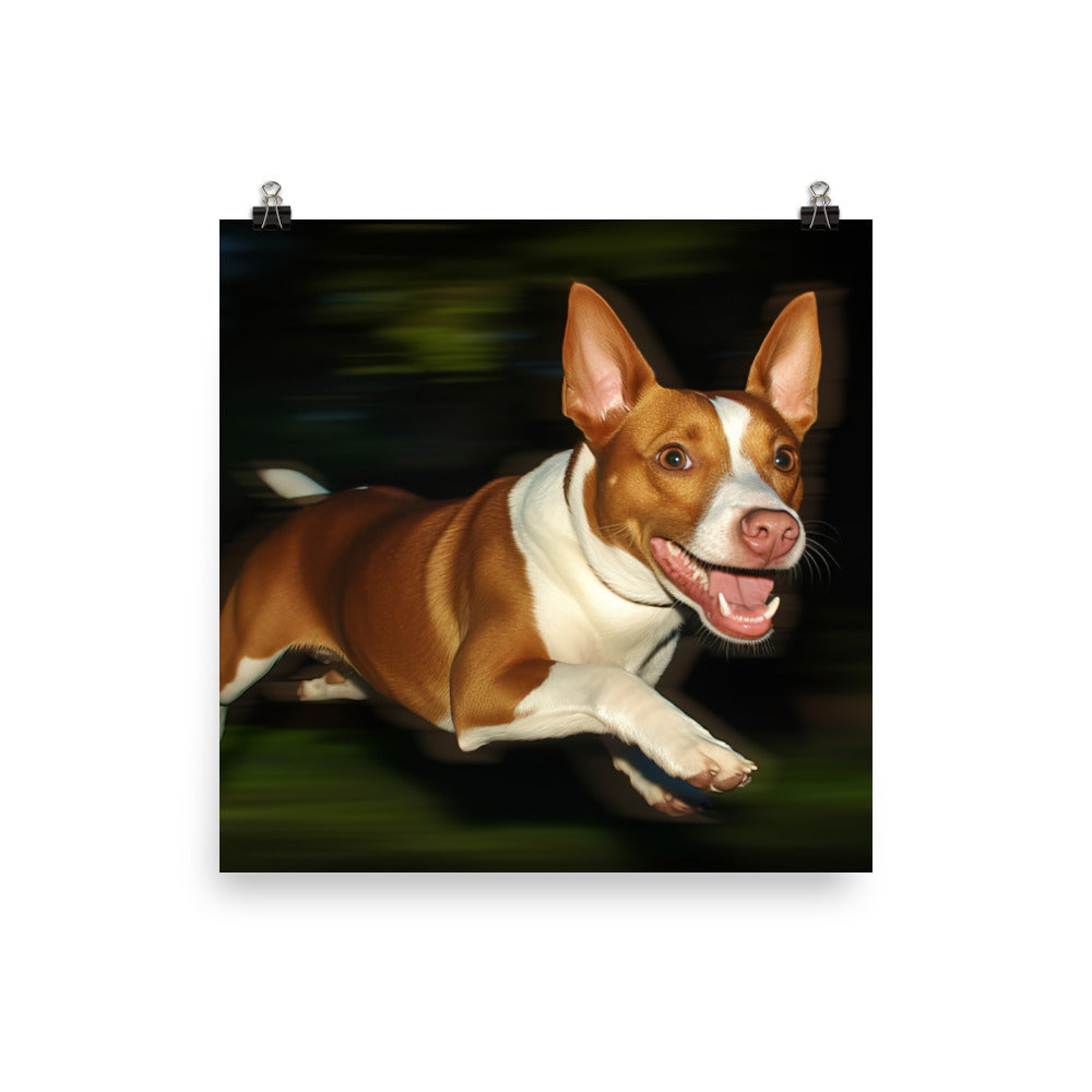 Running Basenji Photo paper poster - PosterfyAI.com