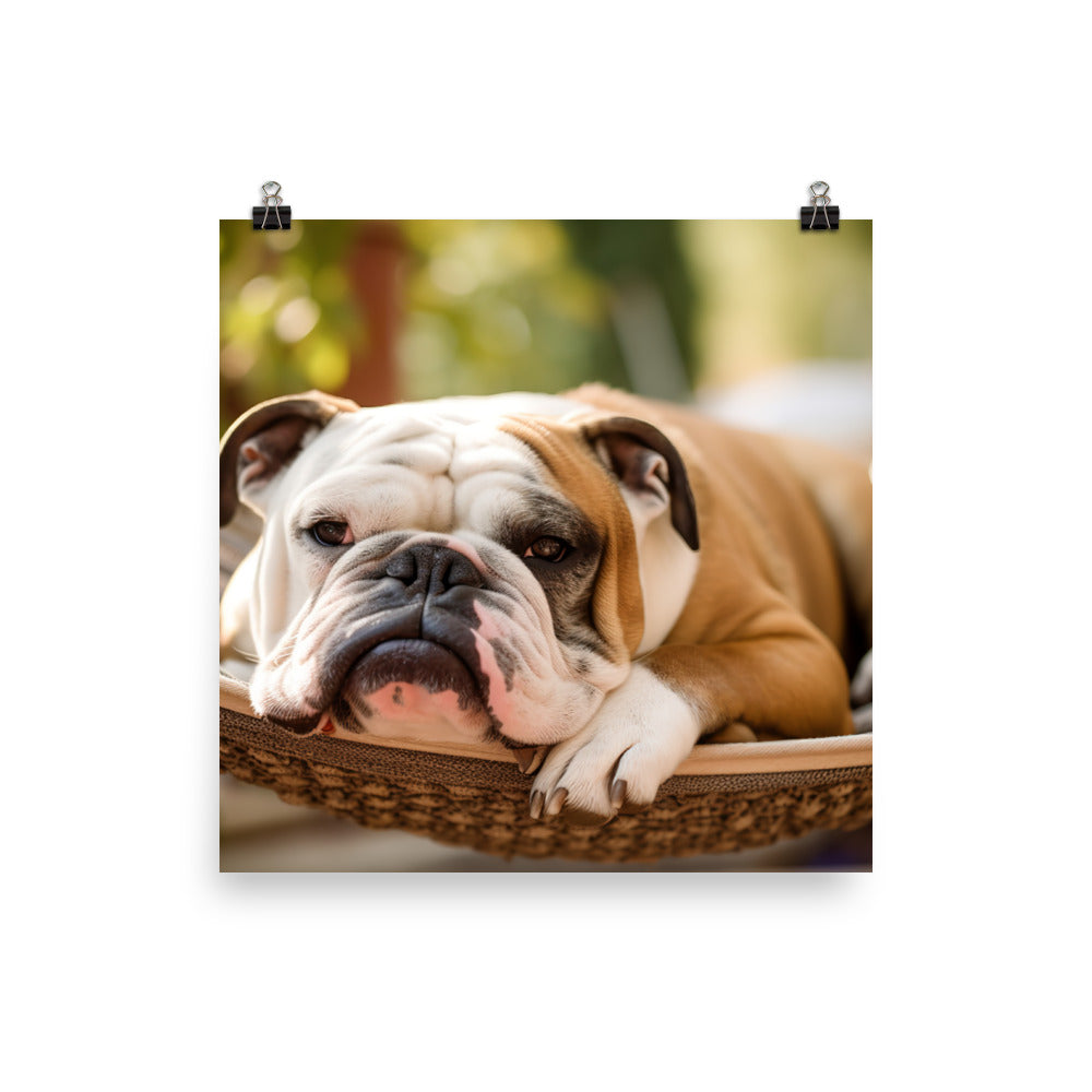 Relaxing Bulldog in the Hammock Photo paper poster - PosterfyAI.com