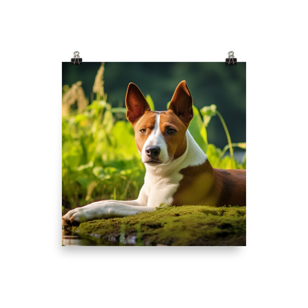 Relaxing Basenji Photo paper poster - PosterfyAI.com