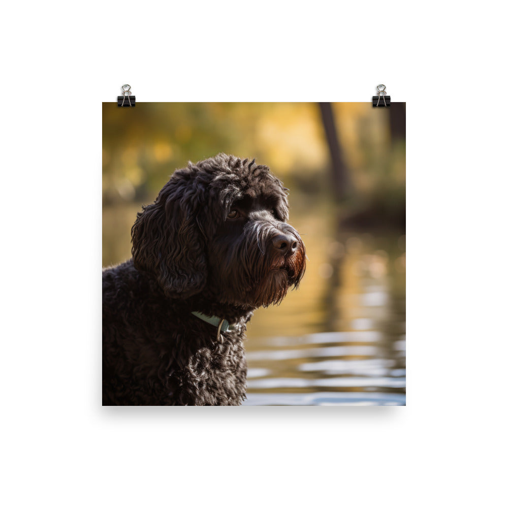 Portuguese Water Dog walk Photo paper poster - PosterfyAI.com