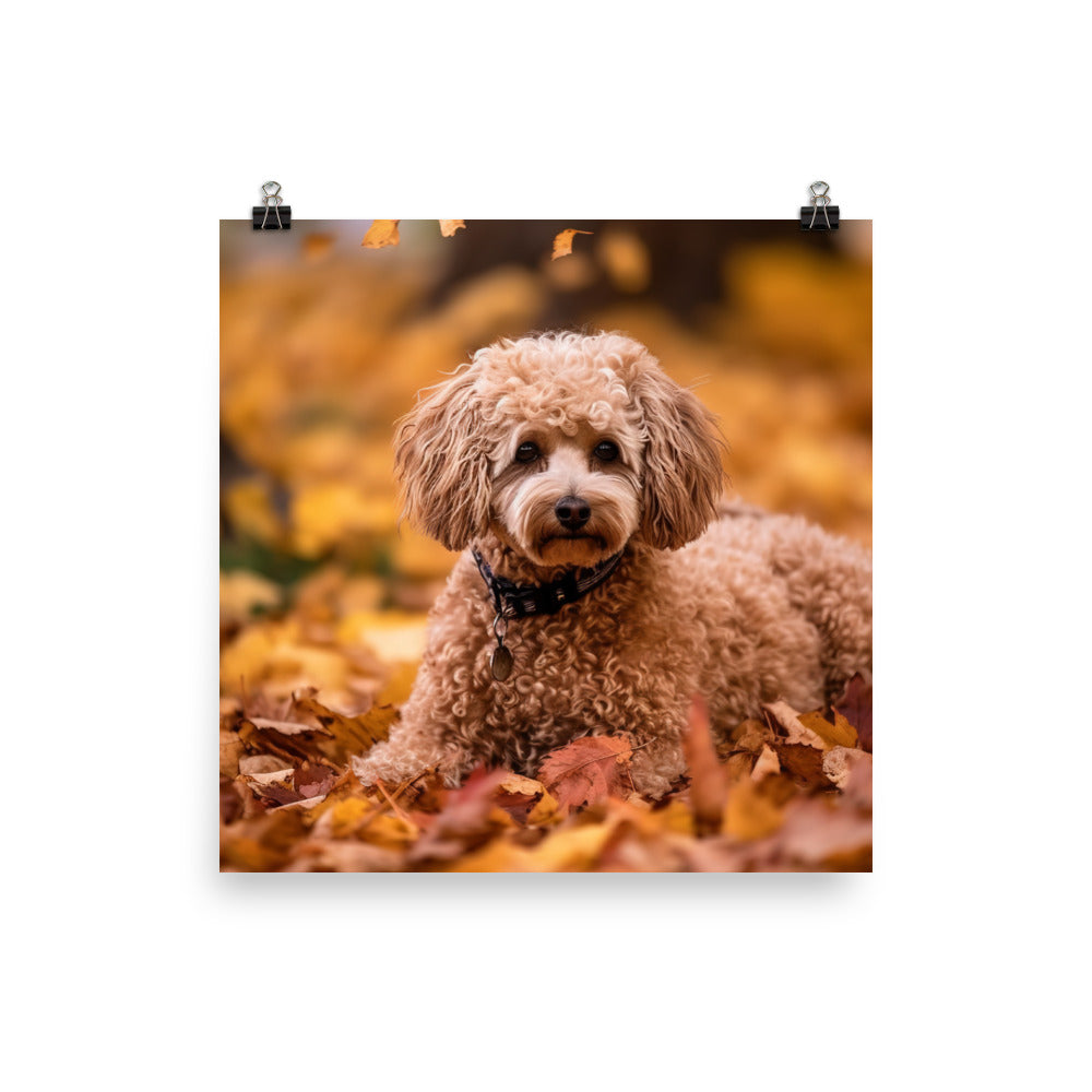 Poodle in Autumn Leaves Photo paper poster - PosterfyAI.com