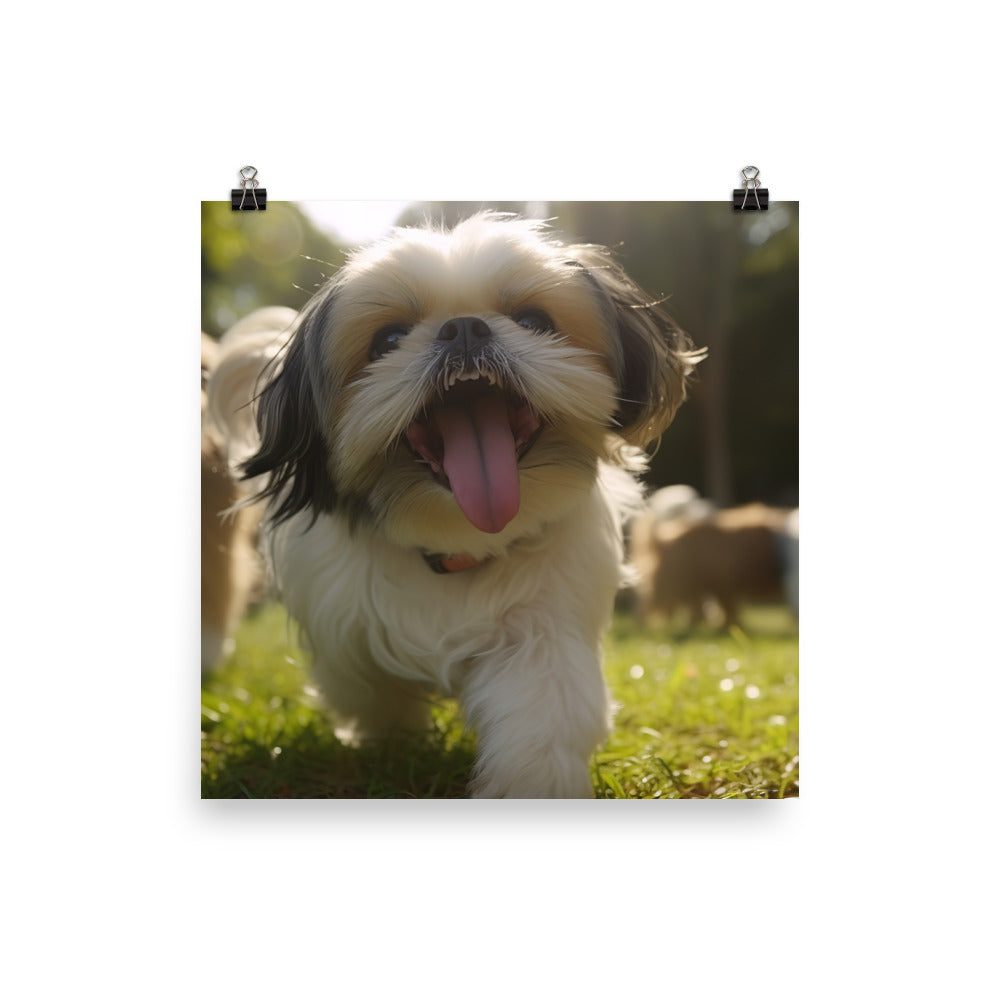 Playful Shih Tzu in a Park Photo paper poster - PosterfyAI.com